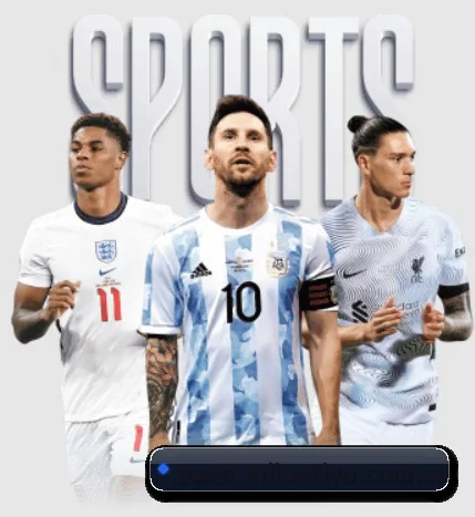 市场拓展
